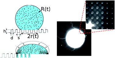 Graphical abstract: Particle deposition after droplet evaporation on ultra-hydrophobic micro-textured surfaces