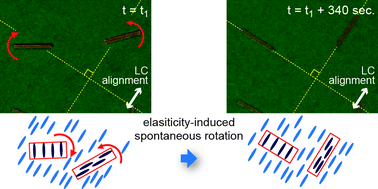 Graphical abstract: Self-alignment behaviour of photopolymerized liquid crystal micro-particles in a nematic liquid crystal