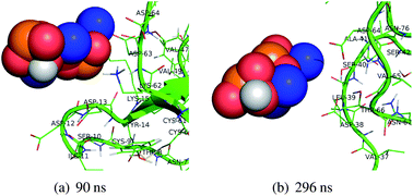 Graphical abstract: Exploring the mineralization of hydrophobins at a liquid interface