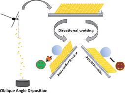 Graphical abstract: Controlling uni-directional wetting via surface chemistry and morphology