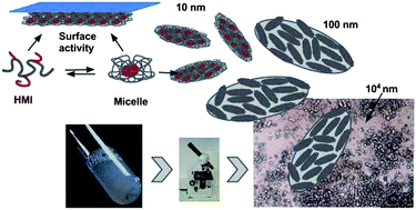 Graphical abstract: Surface activity and aggregation of pristine and hydrophobically modified inulin