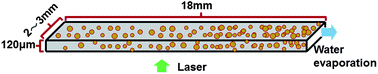 Two modes of phase inversion in a drying emulsion