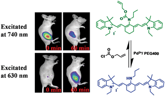 CyN1 chemosensor for detection of palladium