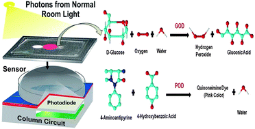 CMOS Image Sensor for Glucose Monitoring