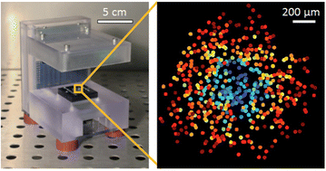 Graphical abstract: Viral plaque analysis on a wide field-of-view, time-lapse, on-chip imaging platform