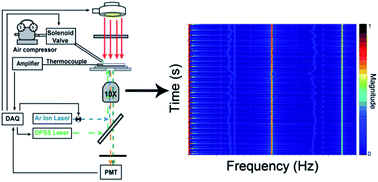 Graphical abstract: Frequency-encoded laser-induced fluorescence for multiplexed detection in infrared-mediated quantitative PCR