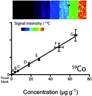 Calibration Procedure Using LA-ICP-MS