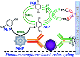 Graphical abstract: Platinum nanoflower-based catalysts for an enzyme-free electrochemical immunoassay of neuron-specific enolase