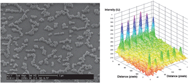 Micro/Nanostructures for Molecular Separation 