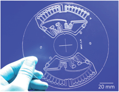 Scheme of "LabDisk" for Detection of Foodborne Pathogens