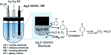 Graphical abstract: Synthesis of Ag2S quantum dots by a single-source precursor: an efficient electrode material for rapid detection of phenol