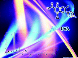 Graphical abstract: Determination of danofloxacin and its photodegradation products by HPLC-DAD. Kinetic evaluation of the degradation process and identification of photoproducts by mass spectrometry