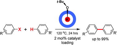 Graphical abstract: A macrocyclic aromatic pyridone pentamer as a highly efficient organocatalyst for the direct arylations of unactivated arenes