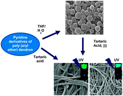 Graphical abstract: Supramolecular design for two-component hydrogels with intrinsic emission in the visible region