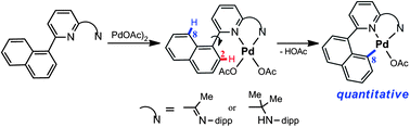 Graphical abstract: N,N-Chelate-control on the regioselectivity in acetate-assisted C–H activation