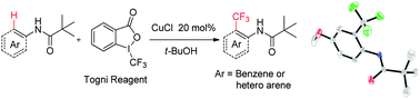 Graphical abstract: CuCl-catalyzed ortho trifluoromethylation of arenes and heteroarenes with a pivalamido directing group