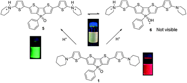 Graphical abstract: Halochromic generation of white light emission using a single dithienophosphole luminophore