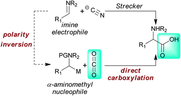 Graphical abstract: A synthesis of α-amino acids via direct reductive carboxylation of imines with carbon dioxide