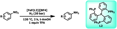 Graphical abstract: Hydrogenation of nitroarenes using defined iron–phosphine catalysts