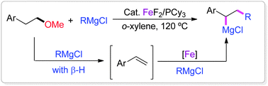 Graphical abstract: Fe-promoted cross coupling of homobenzylic methyl ethers with Grignard reagents via sp3 C–O bond cleavage