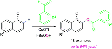 Graphical abstract: Direct 2-acetoxylation of quinoline N-oxides via copper catalyzed C–H bond activation