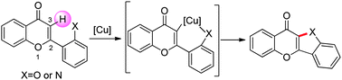 Graphical abstract: Synthesis of heterocyclic-fused benzofurans via C–H functionalization of flavones and coumarins