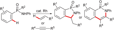 Graphical abstract: Rhodium-catalyzed oxidative coupling through C–H activation and annulation directed by phosphonamide and phosphinamide groups