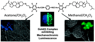 Graphical abstract: Cholesterol-aided construction of distinct self-organized materials from a luminescent gold(i)–isocyanide complex exhibiting mechanochromic luminescence