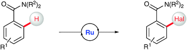 Graphical abstract: Ruthenium-catalyzed ortho-C–H halogenations of benzamides