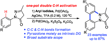 Graphical abstract: Palladium-catalyzed double C–H activation: one-pot synthesis of benzo[c]pyrazolo[1,2-a]cinnolin-1-ones from 5-pyrazolones and aryl iodides
