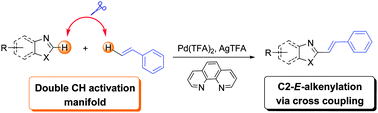 Graphical abstract: Ligand promoted Pd-catalyzed dehydrogenative alkenylation of hetereoarenes