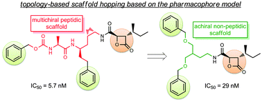 Graphical abstract: Rational hopping of a peptidic scaffold into non-peptidic scaffolds: structurally novel potent proteasome inhibitors derived from a natural product, belactosin A