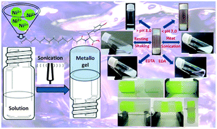 Graphical abstract: Multi-stimuli responsive self-healing metallo-hydrogels: tuning of the gel recovery property