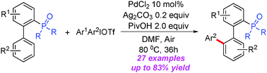 Graphical abstract: Palladium-catalyzed P(O)R2 directed C–H arylation to synthesize electron-rich polyaromatic monophosphorus ligands