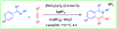 Graphical abstract: Rh(iii)-catalyzed synthesis of 1-substituted isoquinolinium salts via a C–H bond activation reaction of ketimines with alkynes