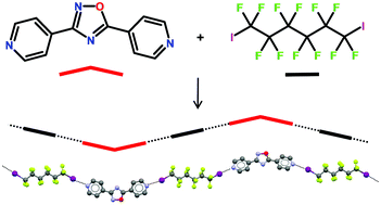 Halogen bonds