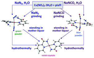 Copper complexes self-assembly