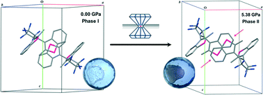 Graphical abstract