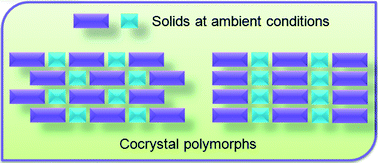 Graphical Abstract