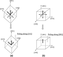 Graphical abstract