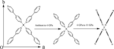 Graphical Abstract