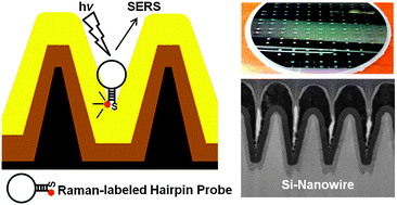 Molecular sentinel-on-chip for SERS-based biosensing