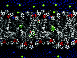 Implicit inclusion of atomic polarization in modeling of partitioning between water and lipid bilayers