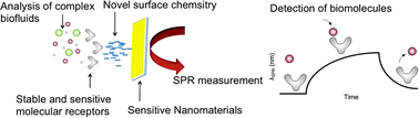 Modern surface plasmon resonance for bioanalytics and biophysics
