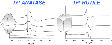 Charge trapping in TiO2 polymorphs as seen by Electron Paramagnetic Resonance spectroscopy