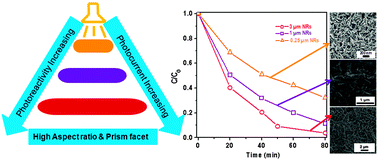 Origin of enhanced photocatalytic activity and photoconduction in high aspect ratio ZnO nanorods