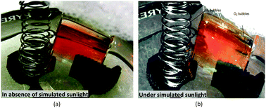 Graphical abstract: Photo-active and dynamical properties of hematite (Fe2O3)–water interfaces: an experimental and theoretical study