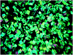 Graphical abstract: Supramolecular gel phase crystallization: orthogonal self-assembly under non-equilibrium conditions