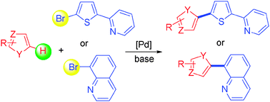 Graphical abstract: Direct heteroarylation of 5-bromothiophen-2-ylpyridine and of 8-bromoquinoline via palladium-catalysed C–H bond activation: simpler access to heteroarylated nitrogen-based derivatives