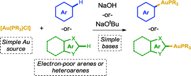 Graphical abstract: A silver-free system for the direct C–H auration of arenes and heteroarenes from gold chloride complexes